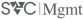SolidView Capital Management LLC